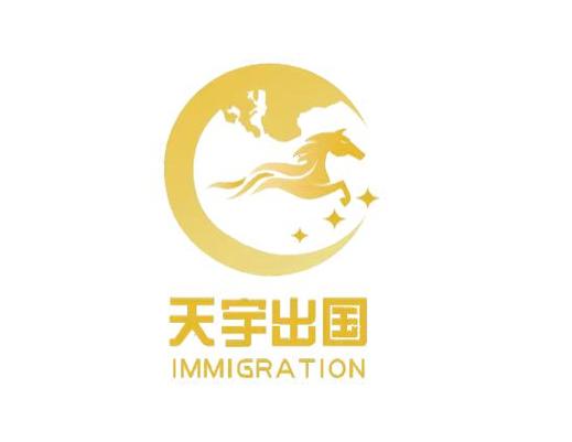多元服务协同发展 因私出入境、留学中介、翻译与企业管理咨询的融合之道